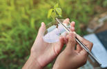 Agrolab