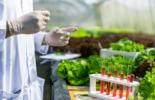 Bureau Veritas - Mérieux NutriSciences