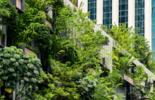 Bureau Veritas Effort against Climate Change