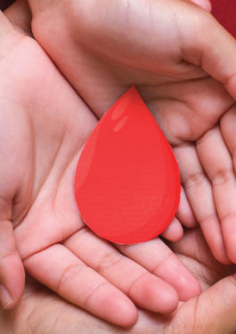 blood donation 