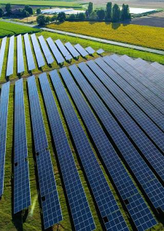 solar panels scattered across the field