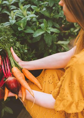 Food Sustainability