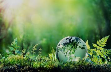 Expertise for sustainability